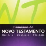 Panorama do Novo Testamento: História, contexto e teologia